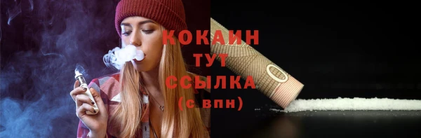 гашик Арсеньев