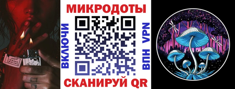 Галлюциногенные грибы Cubensis  Северо-Курильск 
